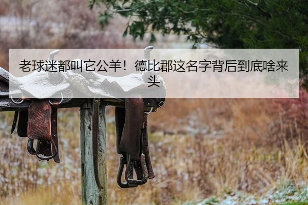老球迷都叫它公羊！德比郡这名字背后到底啥来头