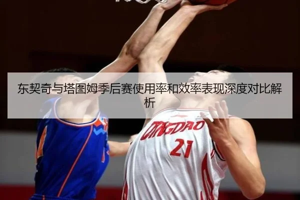 东契奇与塔图姆季后赛使用率和效率表现深度对比解析