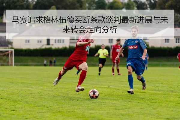 img_1781733409125_2515_1_491.jpg