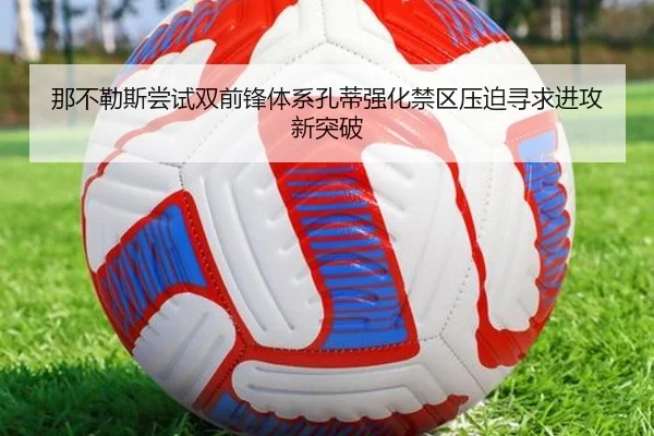img_1783252550915_1335_1_463.jpg